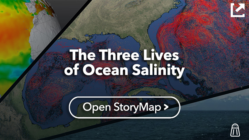 The Three Lives of Ocean Salinity