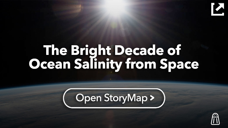 The Bright Decade of Ocean Salinity from Space