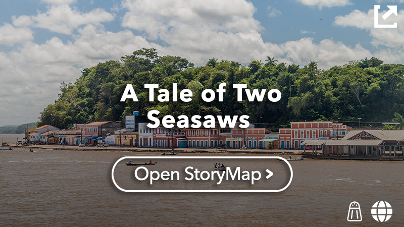 A Tale of Two Seesaws